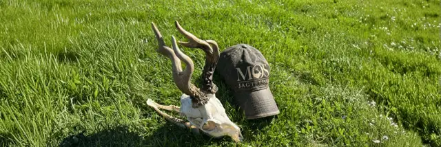 Book din bukkejagt i Polen 2026 – de første revirer er klar!