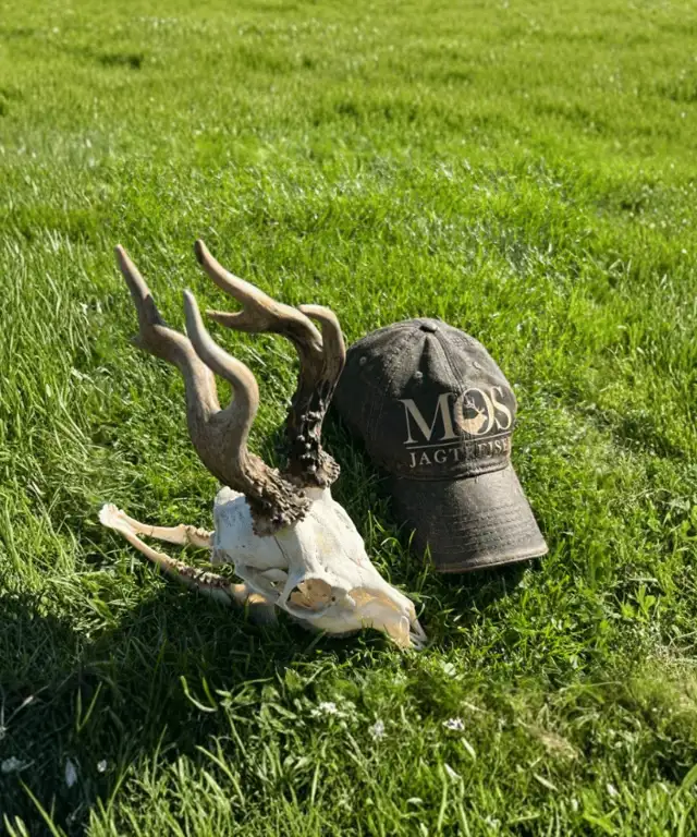 Book din bukkejagt i Polen 2026 – de første revirer er klar!