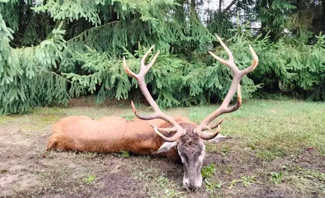 0Df72aec F017 4Dc4 B46b 25A9acf93ff9