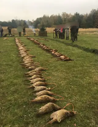 Skærmbillede 2025 02 28 134231