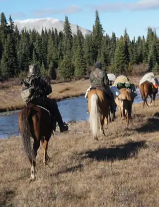 43950289 2129272404067109 1344747366955089920 N