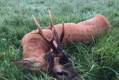 362303155 1029735214992630 5798997432999439792 N