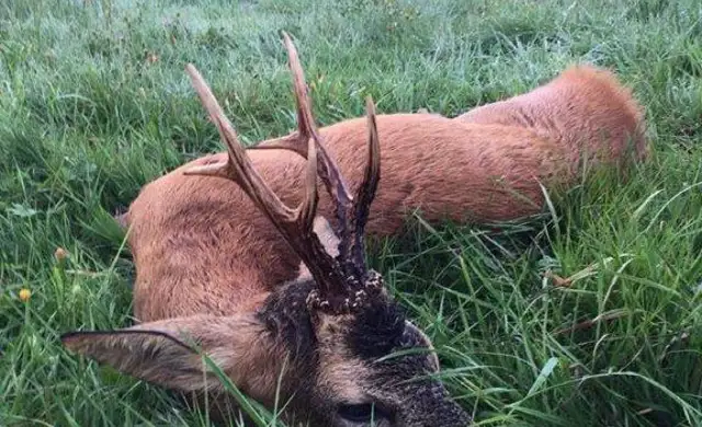 362303155 1029735214992630 5798997432999439792 N