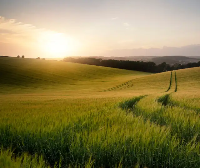 Bukkejagts Billeder Til SOME (4)