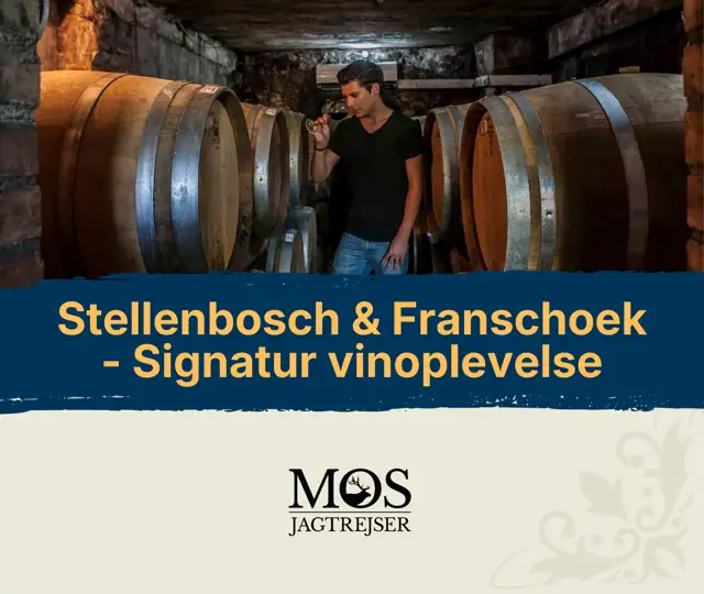 E Brochure Stellenbosch Franschhoek Signature Wine Experience.Pdf (1)