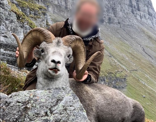 Skærmbillede 2023 10 30 180929