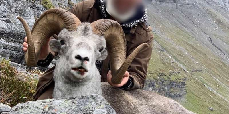 Skærmbillede 2023 10 30 180929