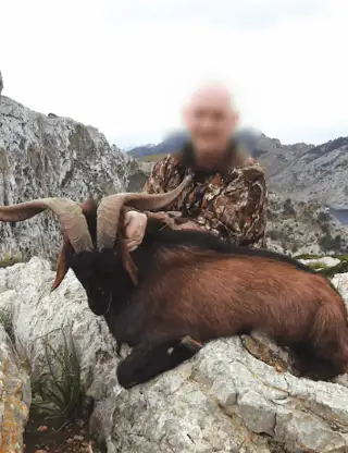 Skærmbillede 2024 12 04 125618 Min