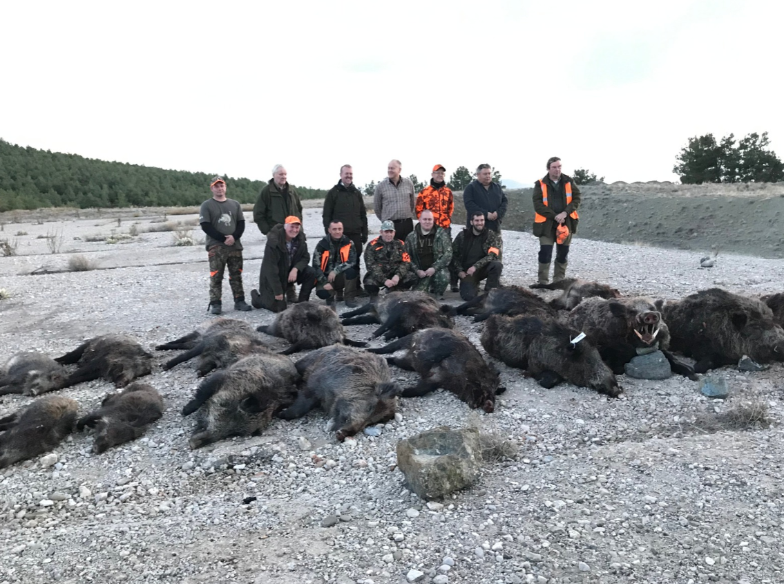 Skærmbillede 2024 09 25 134820