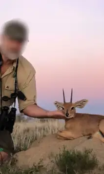 Design Uden Navn (35)