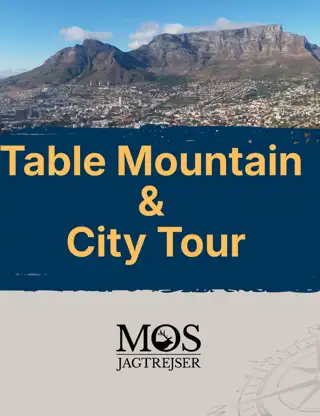 E Brochure Table Mountain City Tour.Pdf (1)
