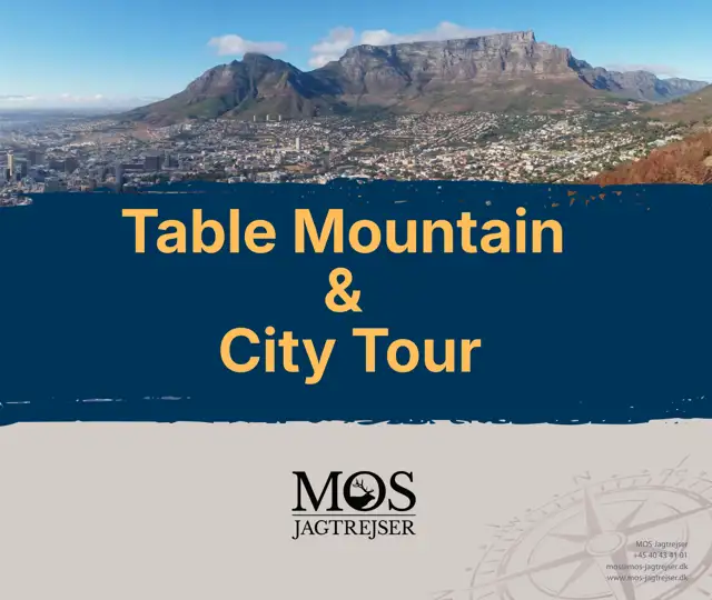 E Brochure Table Mountain City Tour.Pdf (1)