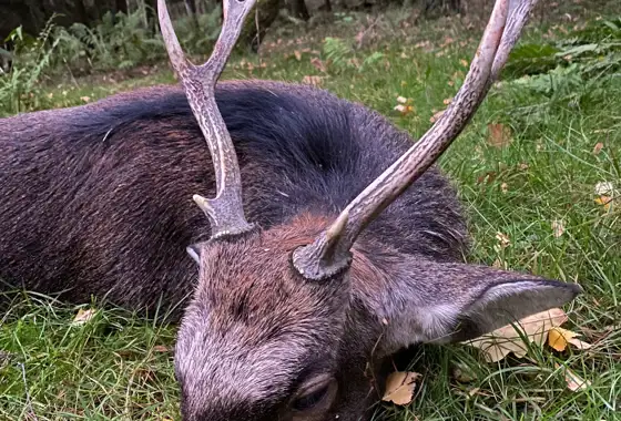 PHOTO 2023 06 27 13 03 17