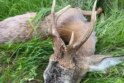 Whatsapp Image 2023 05 09 At 14.49.44