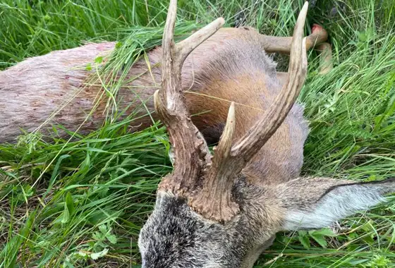 Whatsapp Image 2023 05 09 At 14.49.44