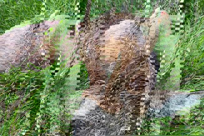 Whatsapp Image 2023 05 09 At 14.49.44