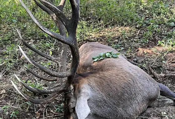 384201854 1078947726738045 3456185961616407407 N