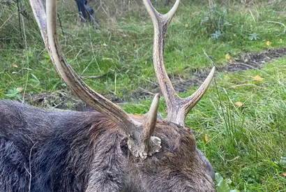 PHOTO 2023 06 27 13 03 18