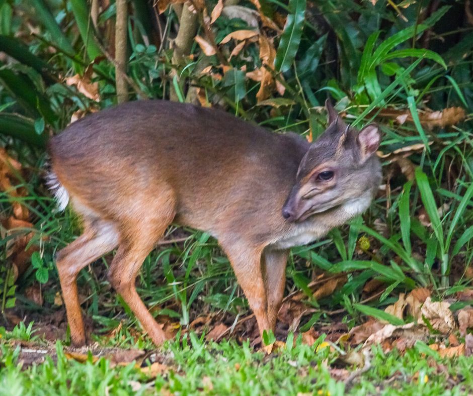 Billeder Hjemmeside (4) Min