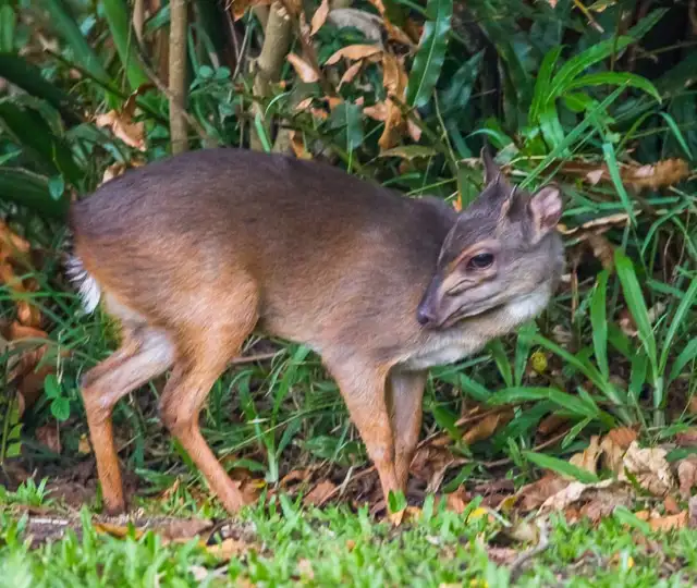 Billeder Hjemmeside (4) Min