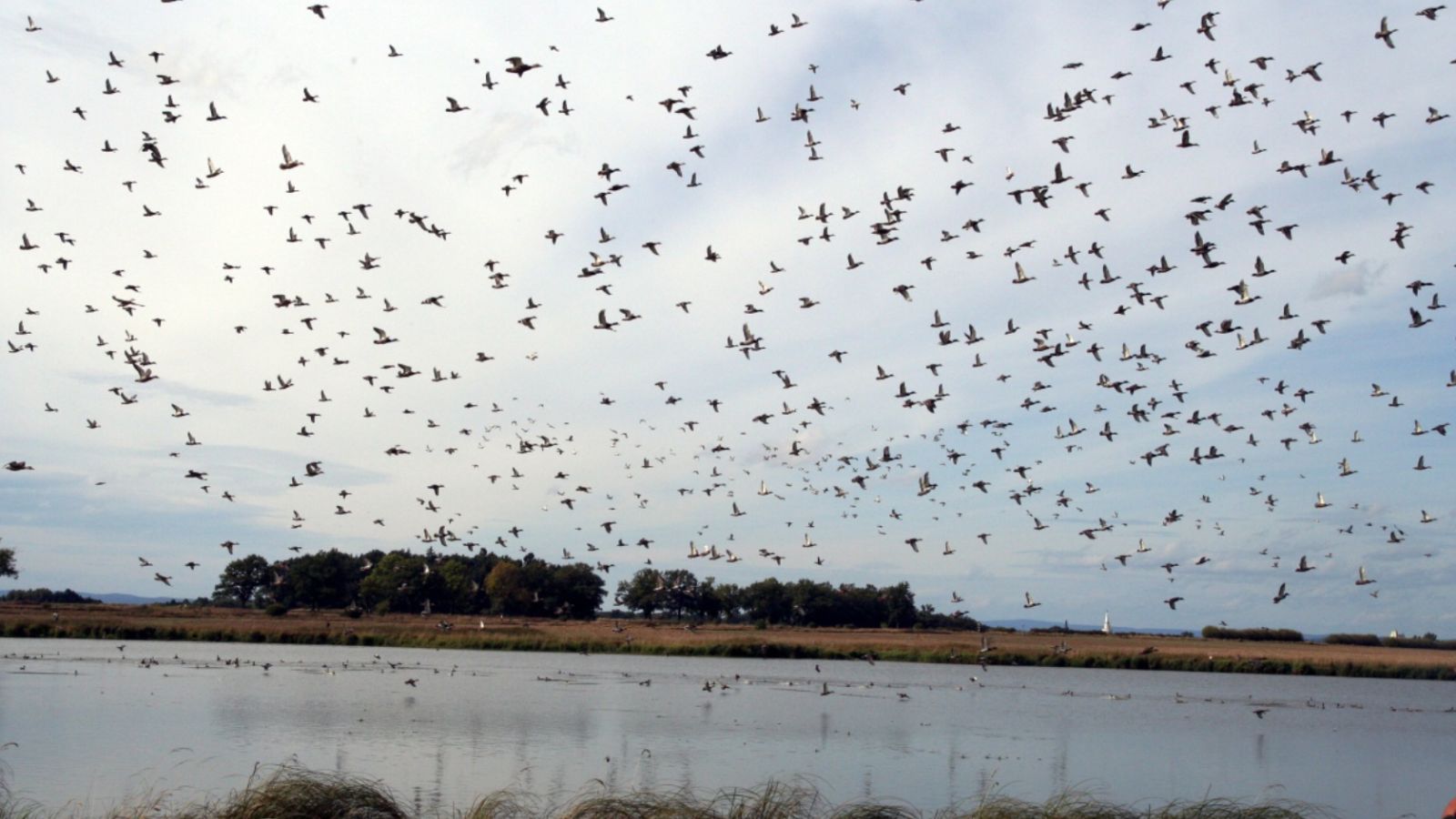 Skærmbillede 2025 02 28 132414