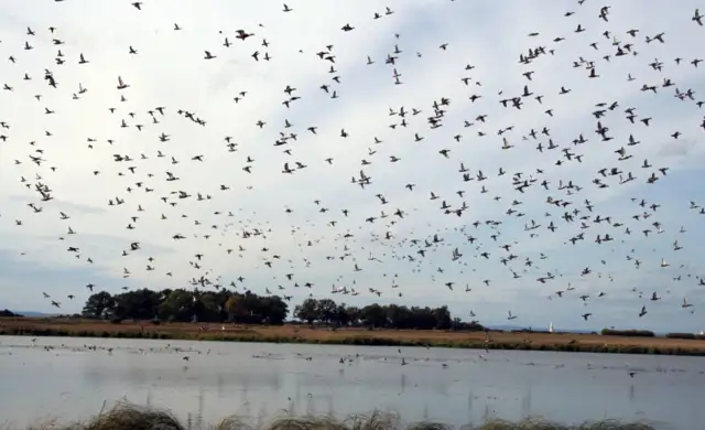 Skærmbillede 2025 02 28 132414