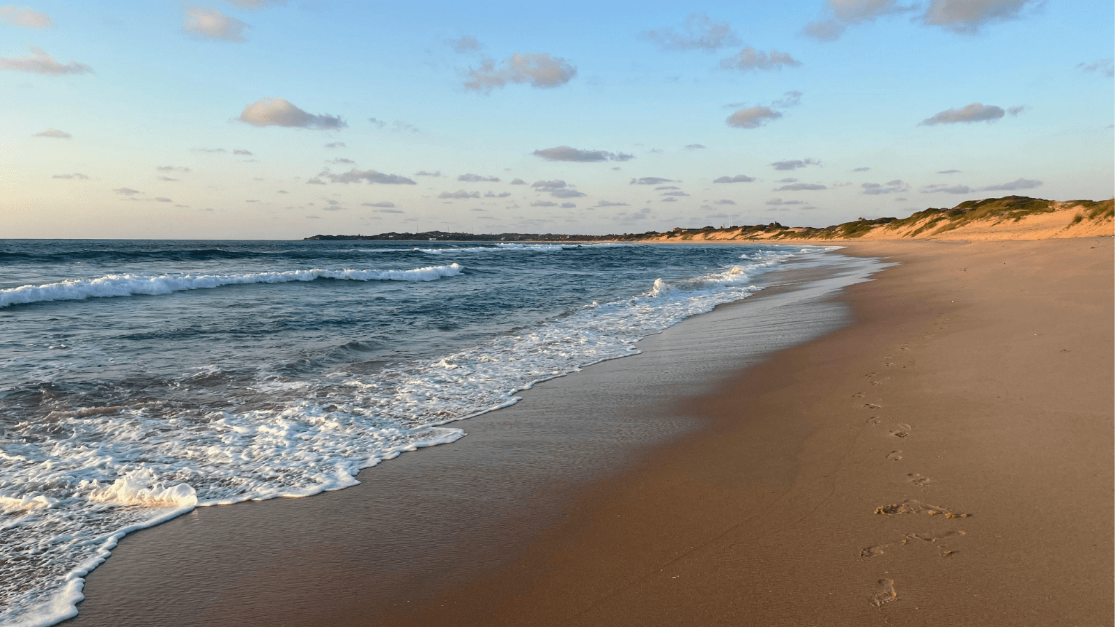 Hjemmeside Og PDF Format 169 (1) Min (1)