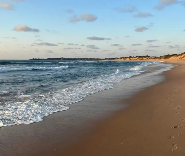 Hjemmeside Og PDF Format 169 (1) Min (1)