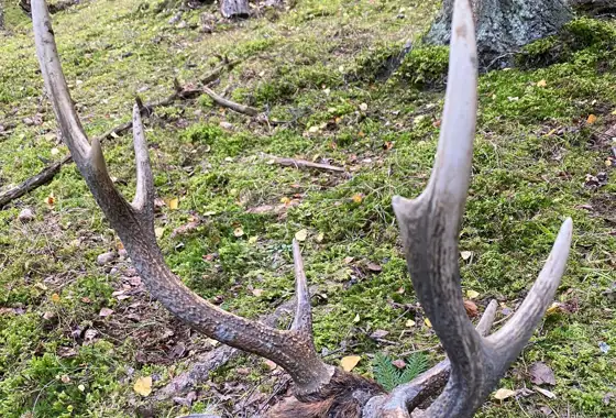 PHOTO 2023 06 27 13 03 16