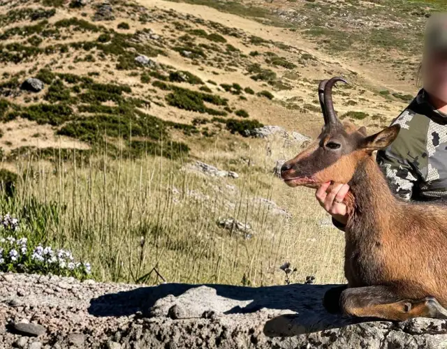 Kopi Af Hjemmeside Og PDF Format 169 (6) Min