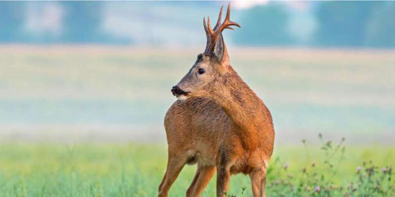 Skærmbillede 2024 01 16 150317