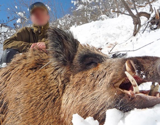 Skærmbillede 2024 10 03 132332