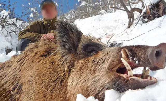 Skærmbillede 2024 10 03 132332