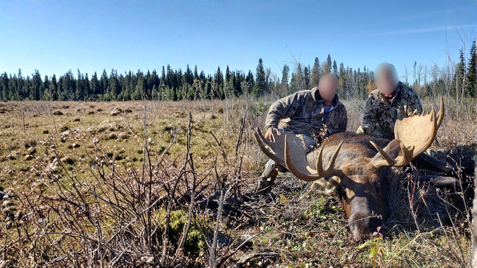 Kopi Af Hjemmeside Og PDF Format 169 2025 12 04T110124.567 Min