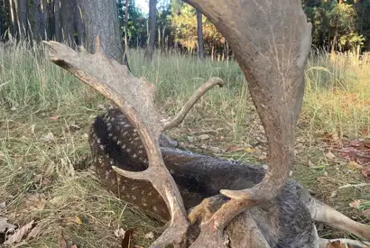 391666800 1089849405647877 1765792123921916961 N