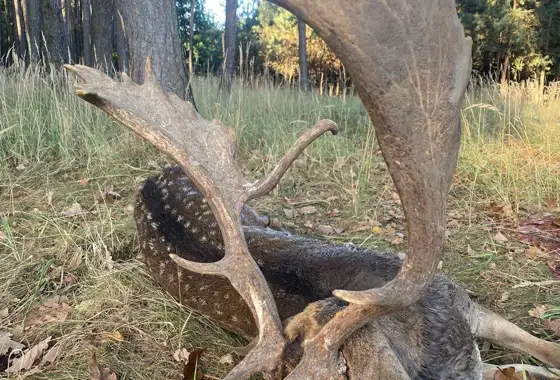 391666800 1089849405647877 1765792123921916961 N