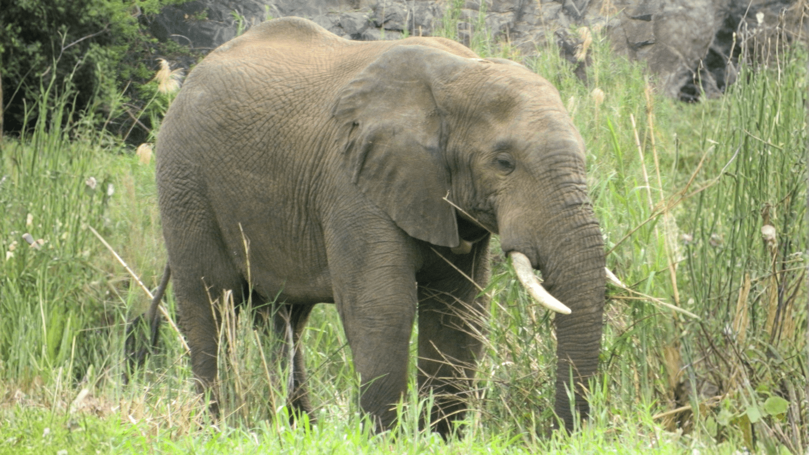 Hjemmeside Og PDF Format 169 (5) Min