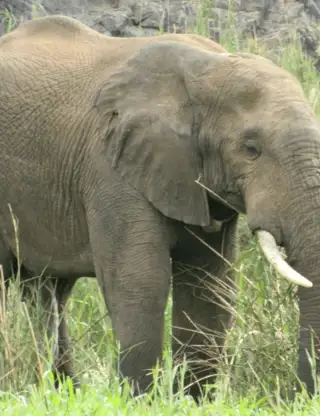 Hjemmeside Og PDF Format 169 (5) Min