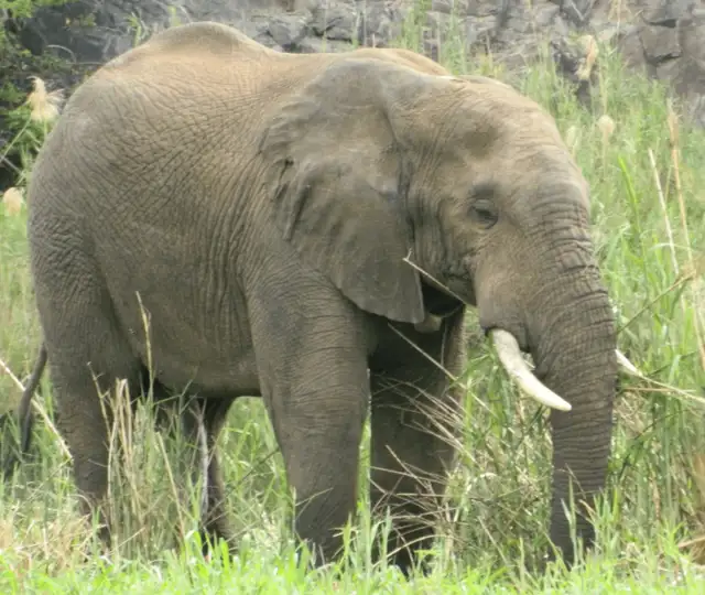 Hjemmeside Og PDF Format 169 (5) Min