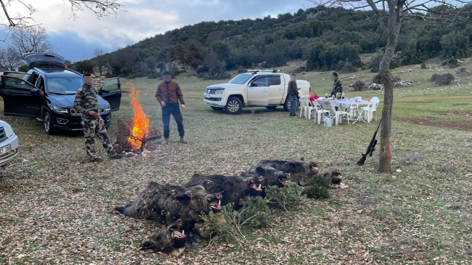 Skærmbillede 2024 09 25 135257