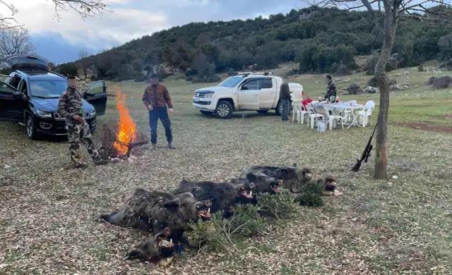 Skærmbillede 2024 09 25 135257