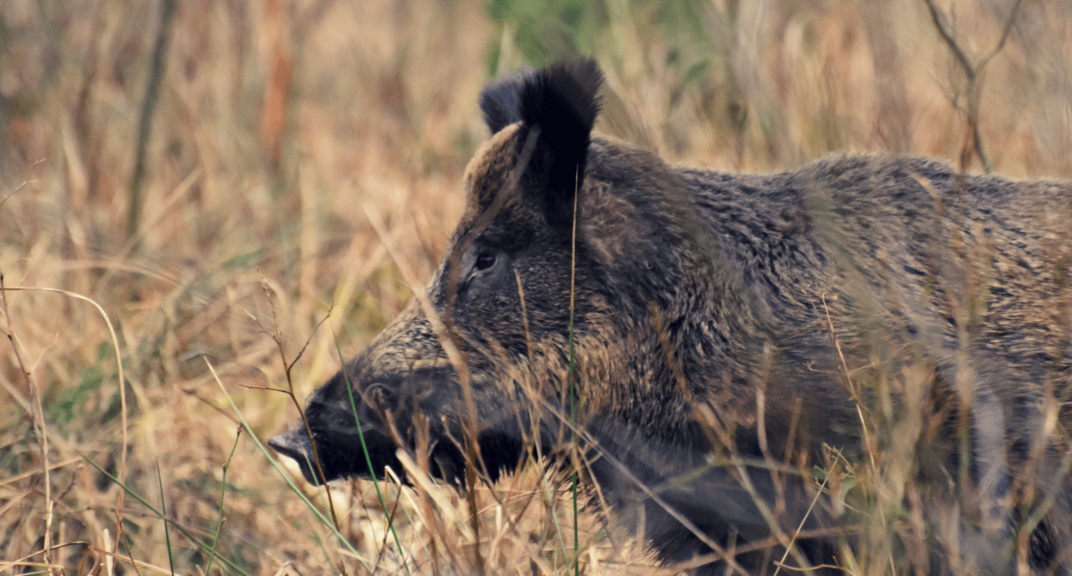 Skærmbillede 2024 12 17 151504 Min
