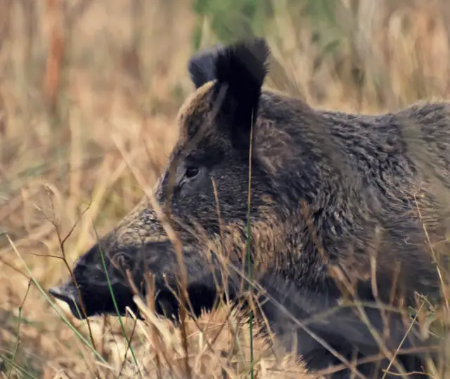 Skærmbillede 2024 12 17 151504 Min