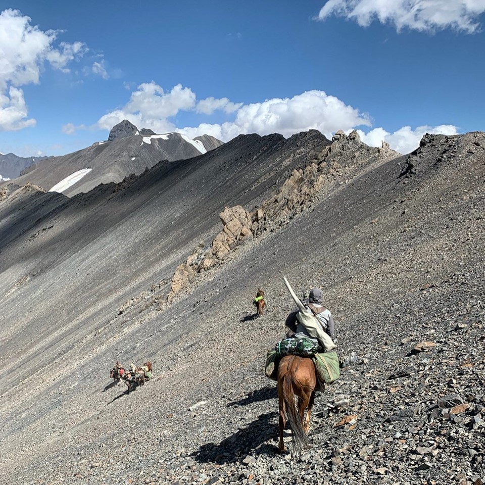 70011796 2505732772817521 352999247479570432 N