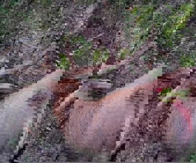 Getattachmentthumbnail Min 1 2 3 4 5 6 7 8