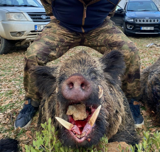 Skærmbillede 2024 09 25 135249