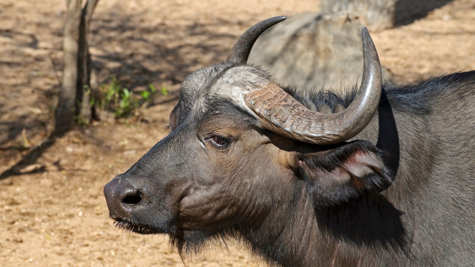 Skærmbillede 2024 04 22 115828