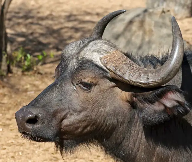 Skærmbillede 2024 04 22 115828