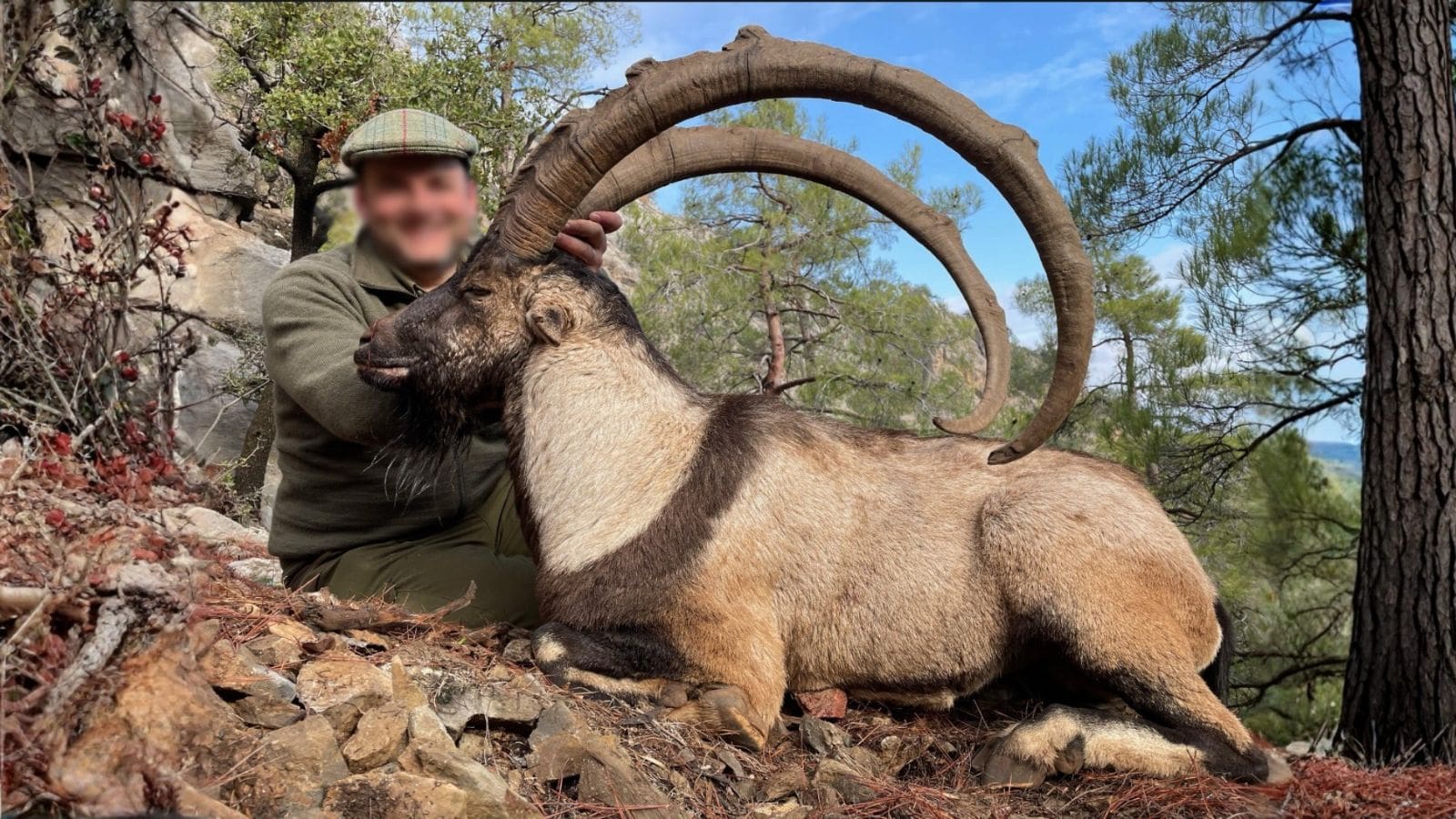 Skærmbillede 2023 12 04 162446