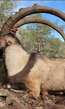 Skærmbillede 2023 12 04 162446